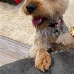 Meet your Posher, Kara